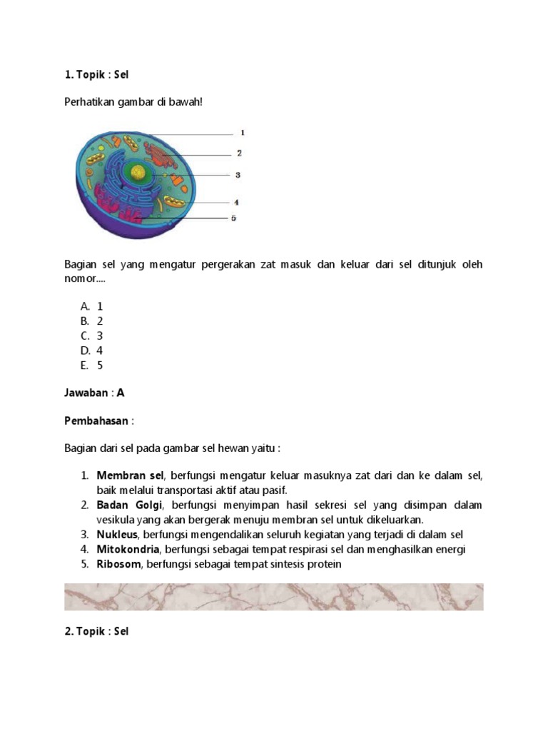 Menguasai Biologi Kelas 11 Semester 1 Panduan Lengkap Mengunduh Soal