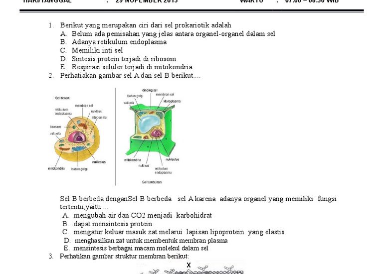 5 Rahasia Sukses Kuasai Soal Soal Biologi Kelas 11 Semester 1 dari Bank Soal SMA Taruna Nusantara